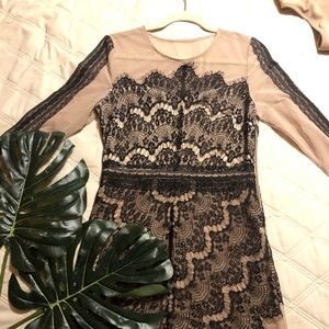 Long Sleeve Bodycon Scalloped Lace Dress